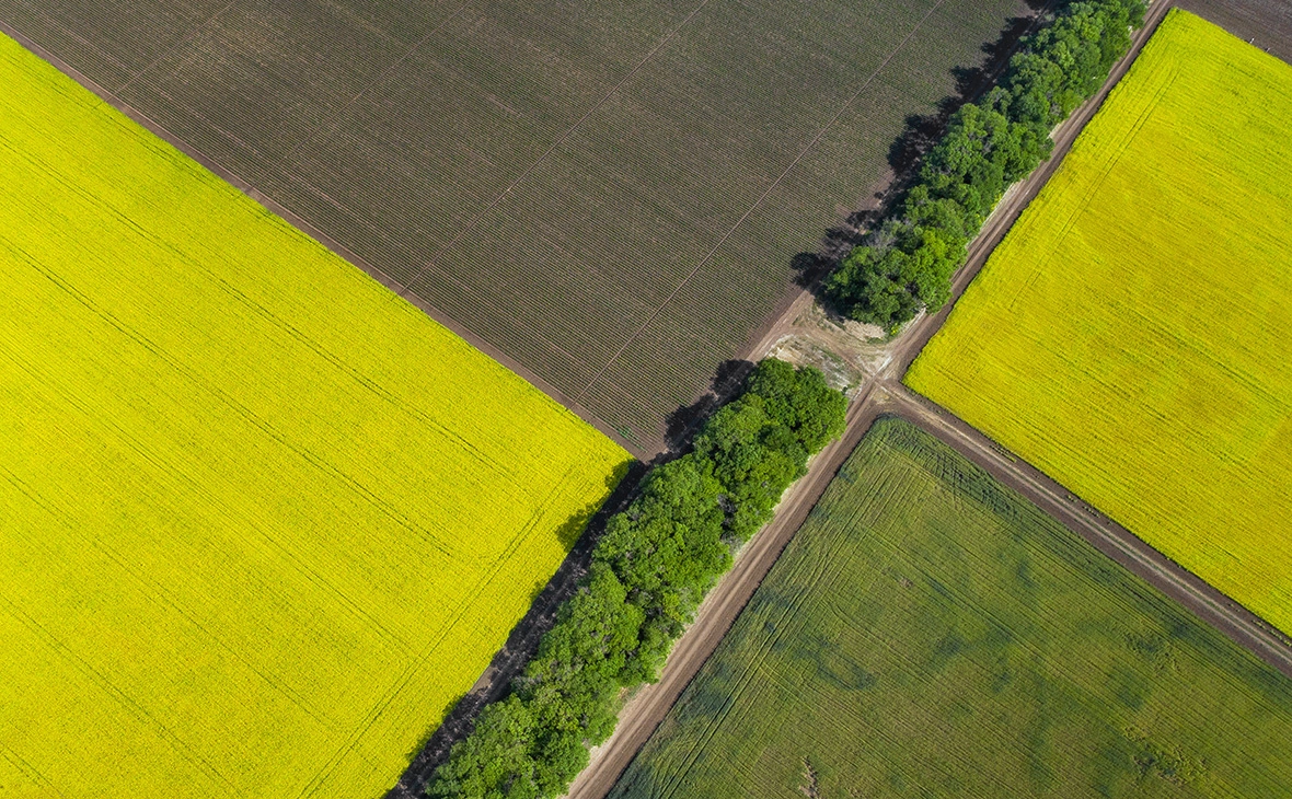 Сергей Мальгавко / ТАСС