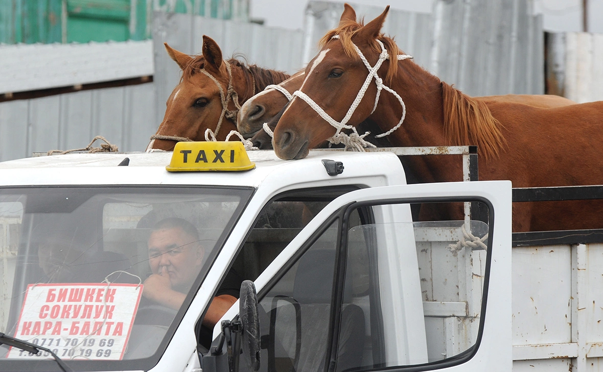 Виктор Драчев / ТАСС