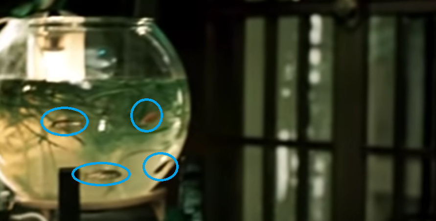 Рыбок в аквариуме стало больше, кадр из фильма «Ищите женщину»