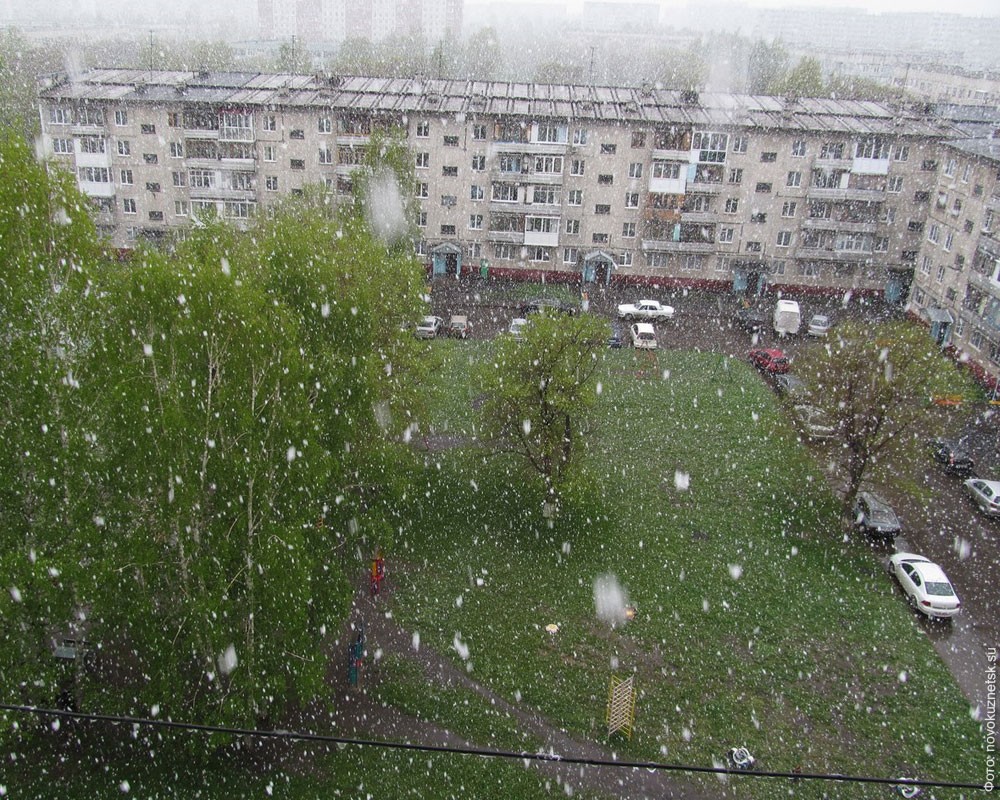 Кемеровская область встретила лето снегопадом