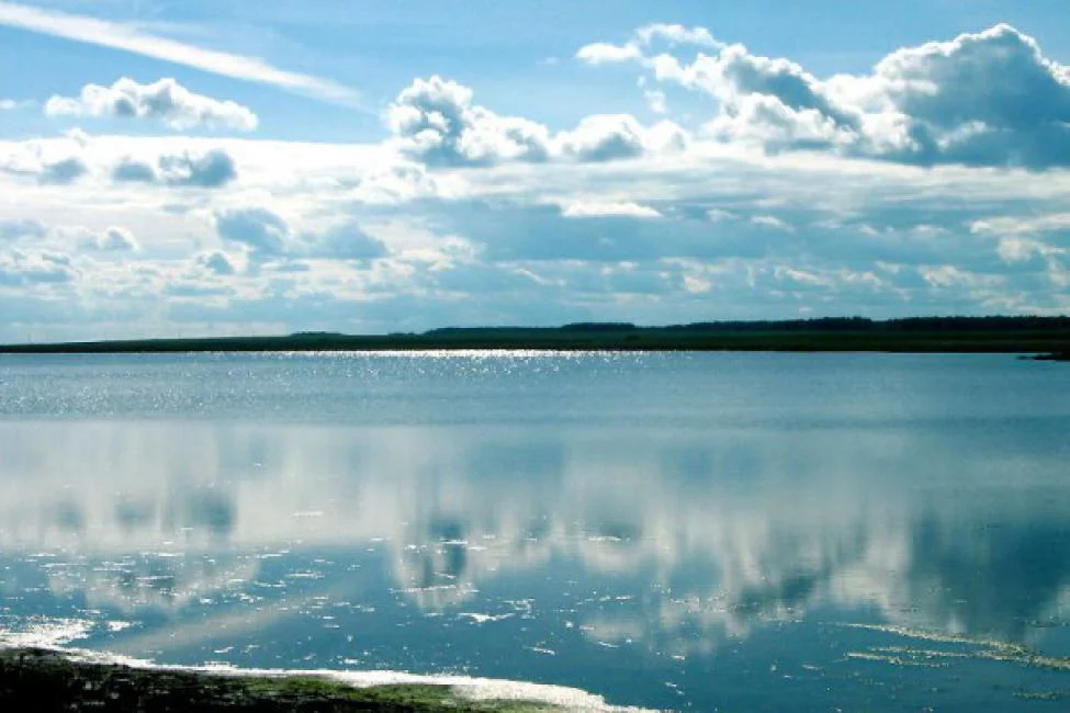 Пресс-служба Заксобрания Новосибирской области