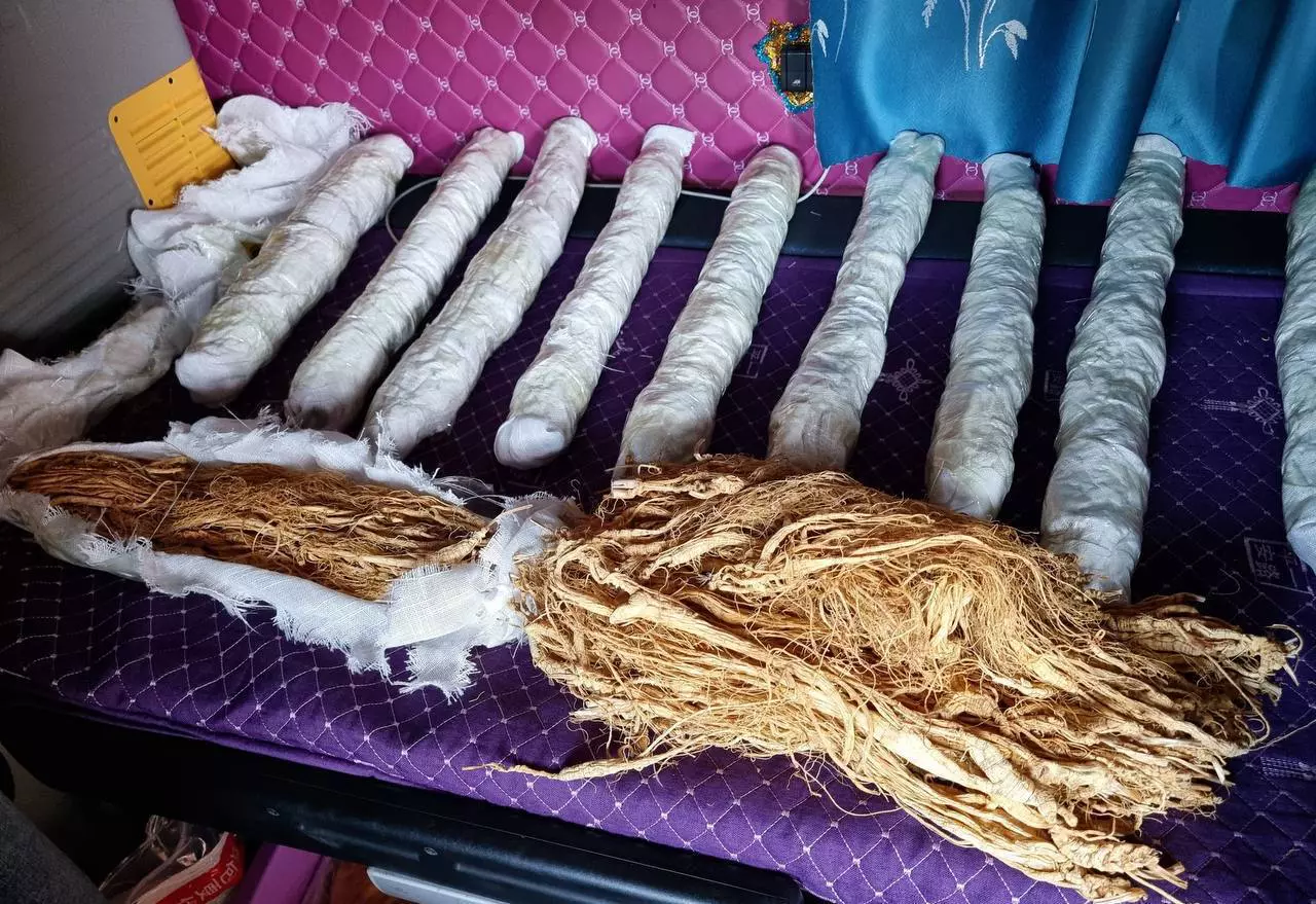 пресс-служба Пограничного управления ФСБ России по Приморскому краю