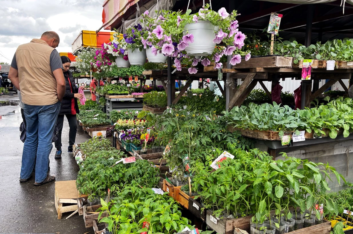 Екатерина Сычкова / РИА URA.RU