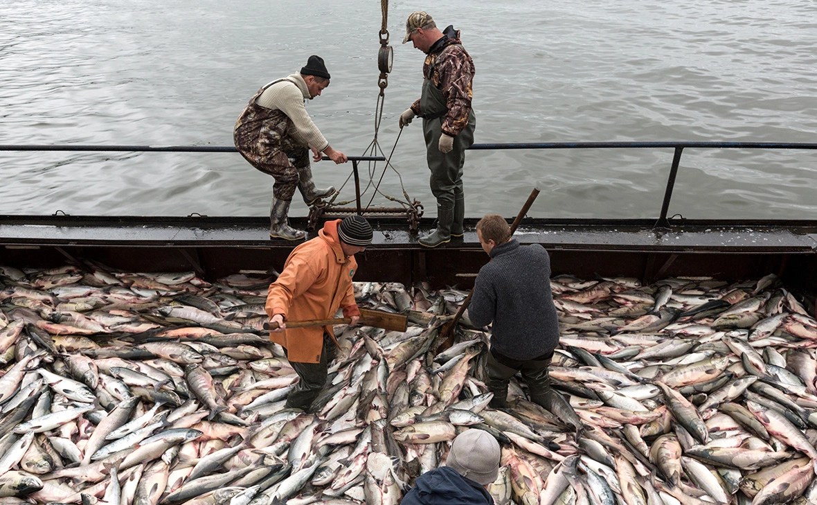 Александр Пирагис / РИА Новости