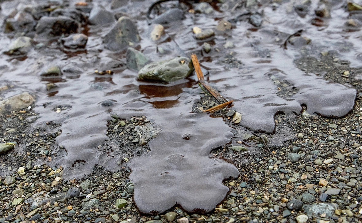 Елена Верещака / ТАСС