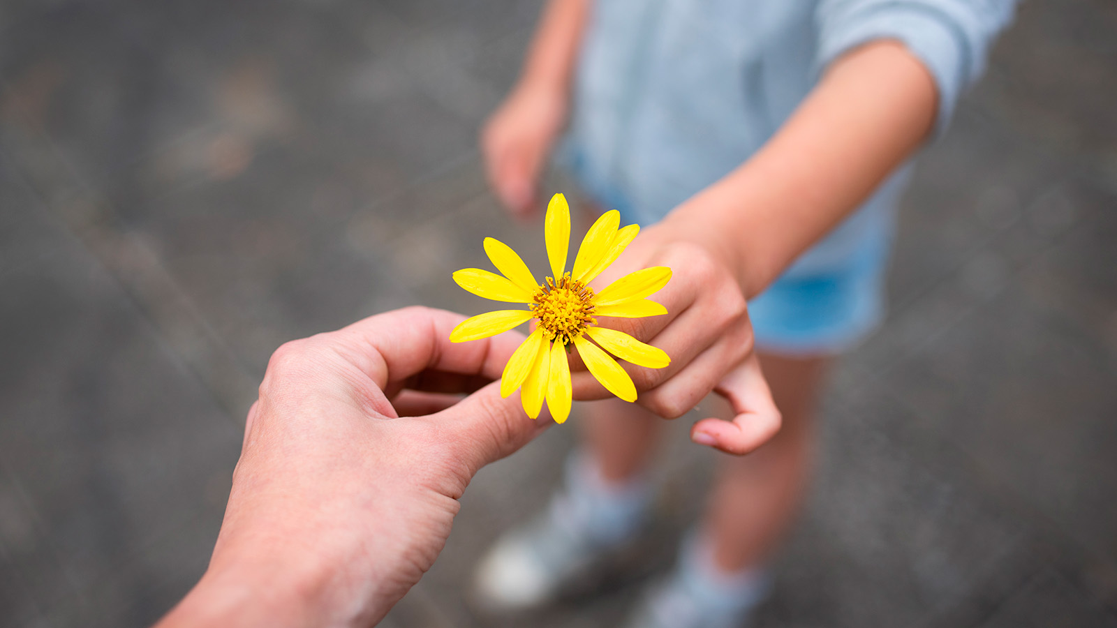 Пословицы и поговорки о добре