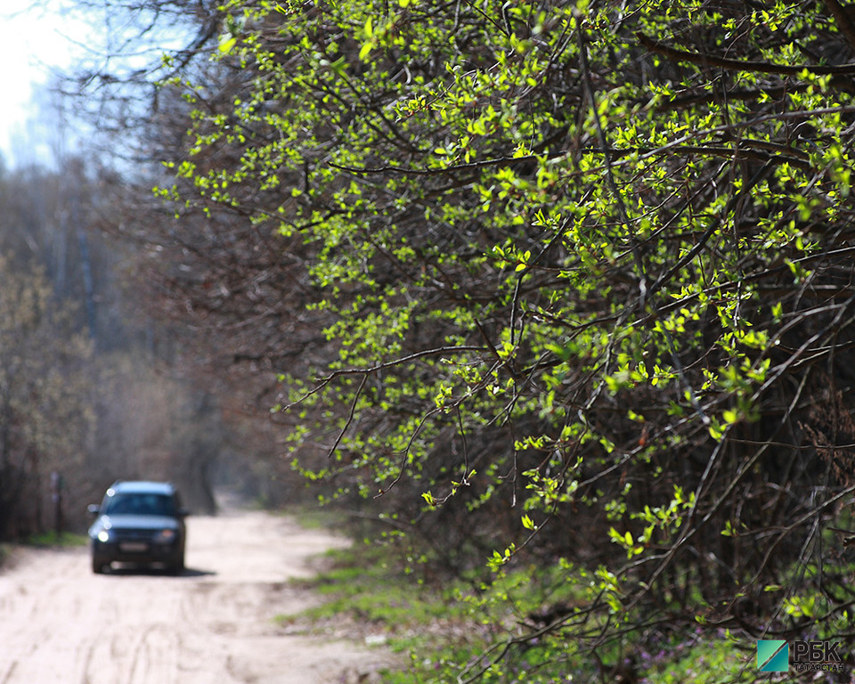 В Татарстане из-за жары начали ограничивать доступ в леса
