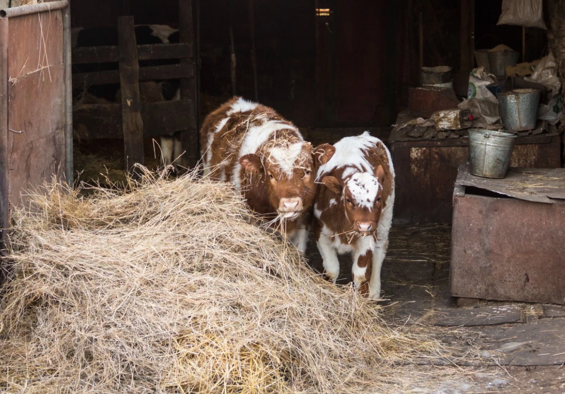 Илья Московец / РИА URA.RU