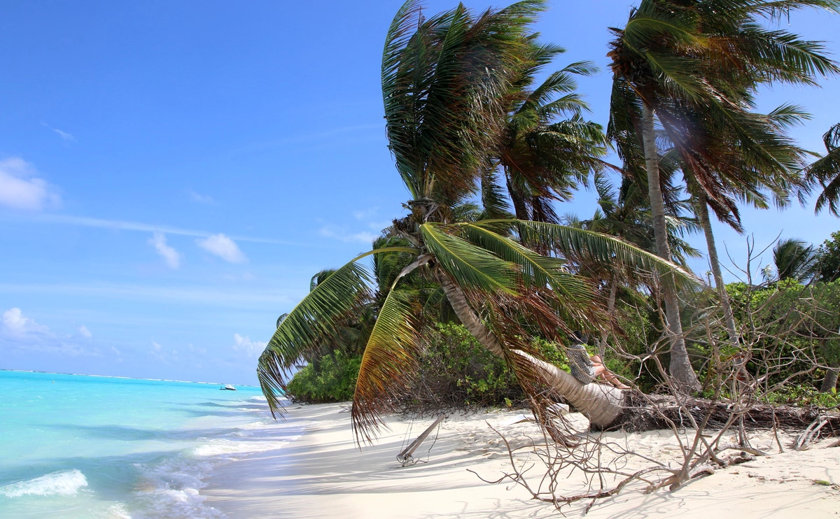 Максим Константинов / ТАСС