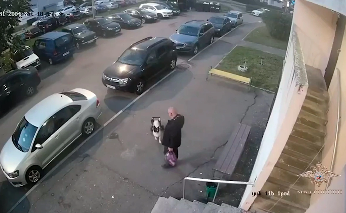 IrinaVolk_MVD / Telegram