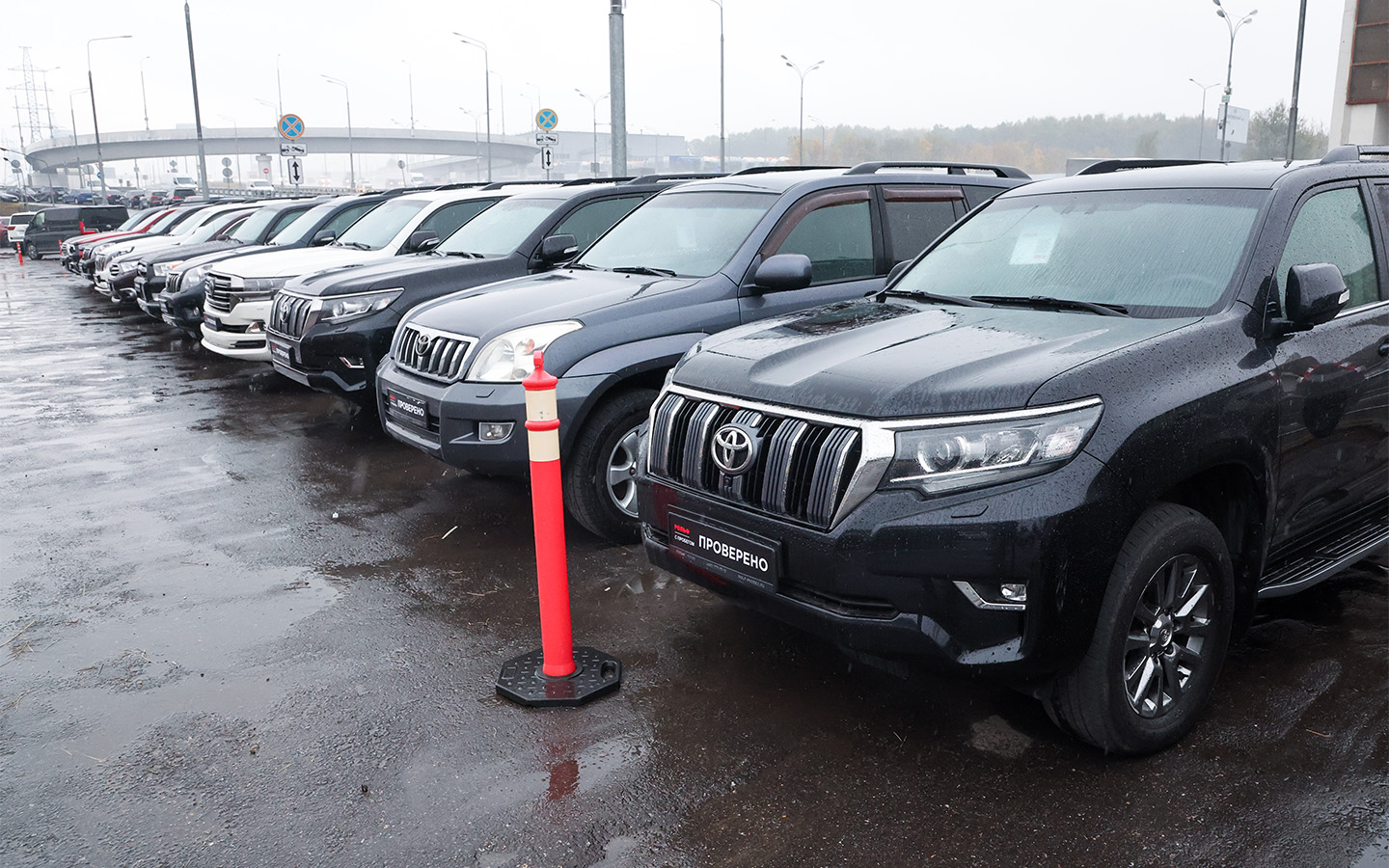 Фото: Belkin Alexey / NEWS.ru / Global Look Press