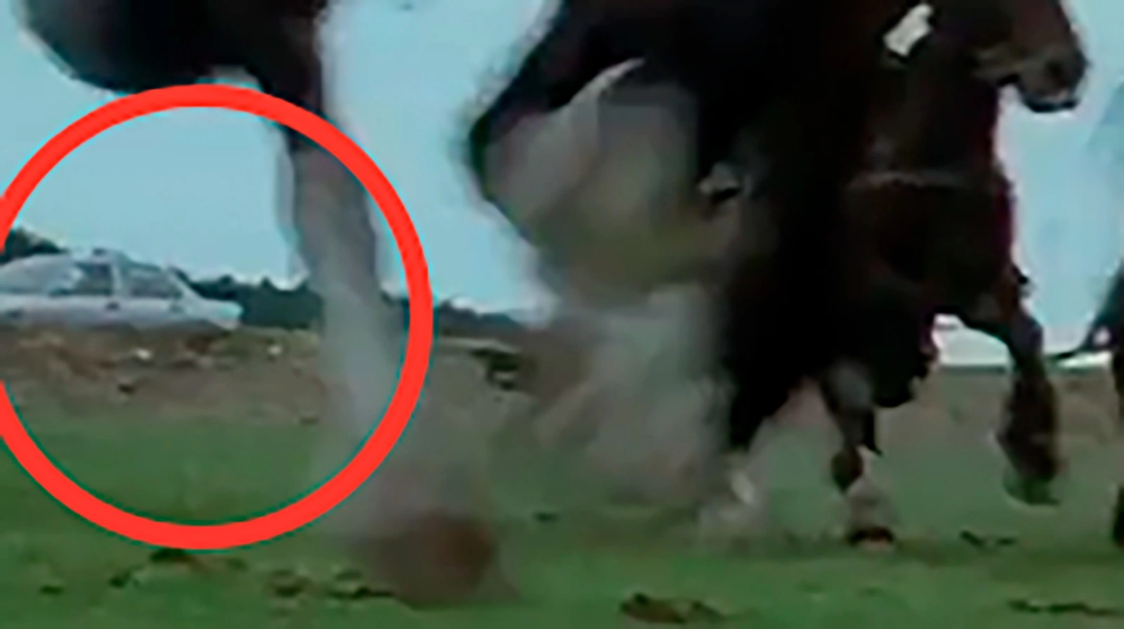 Кадр из фильма «Храброе сердце», режиссер Мэл Гибсон, 1995 год