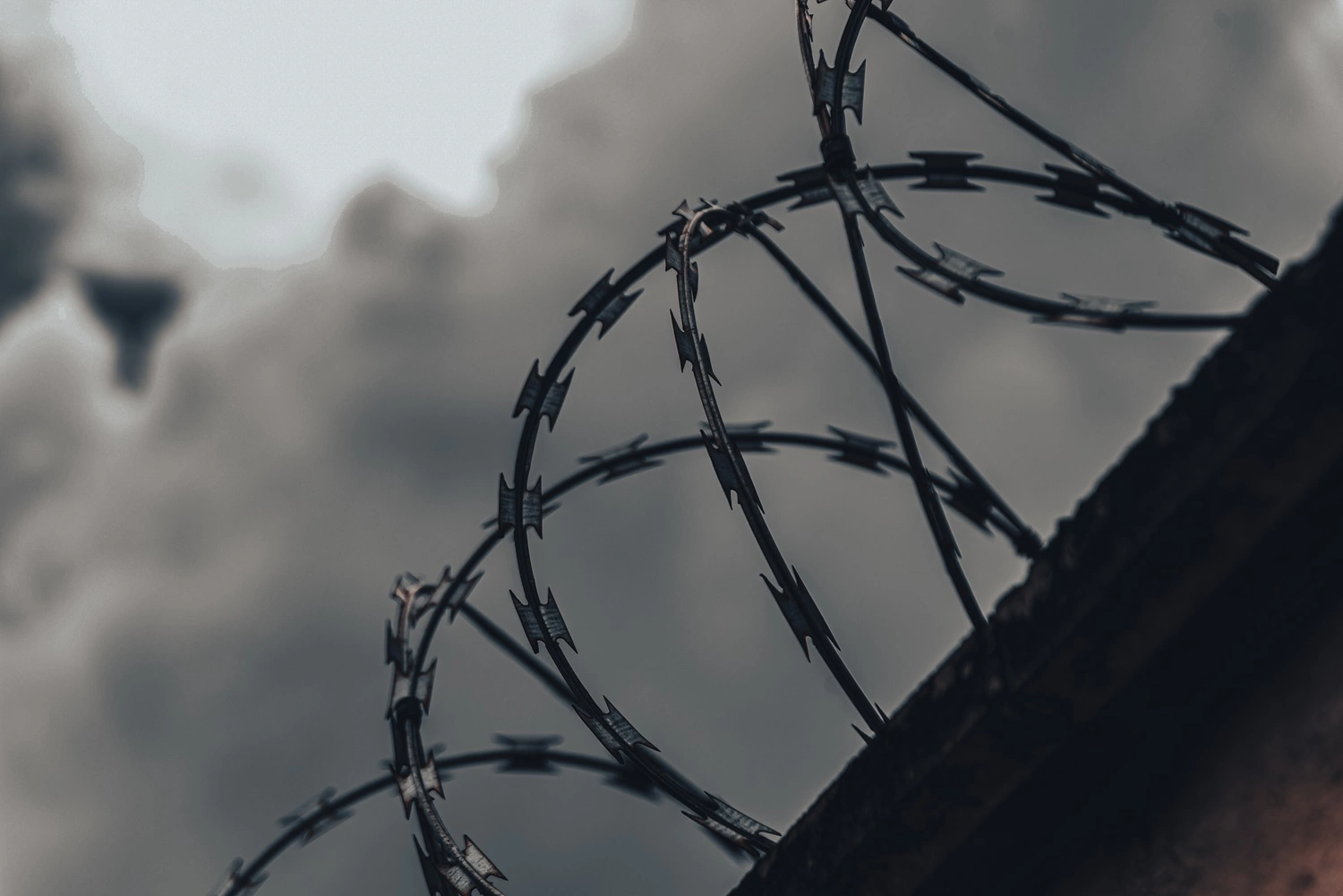 Изображение от Mateus Andre на Freepik