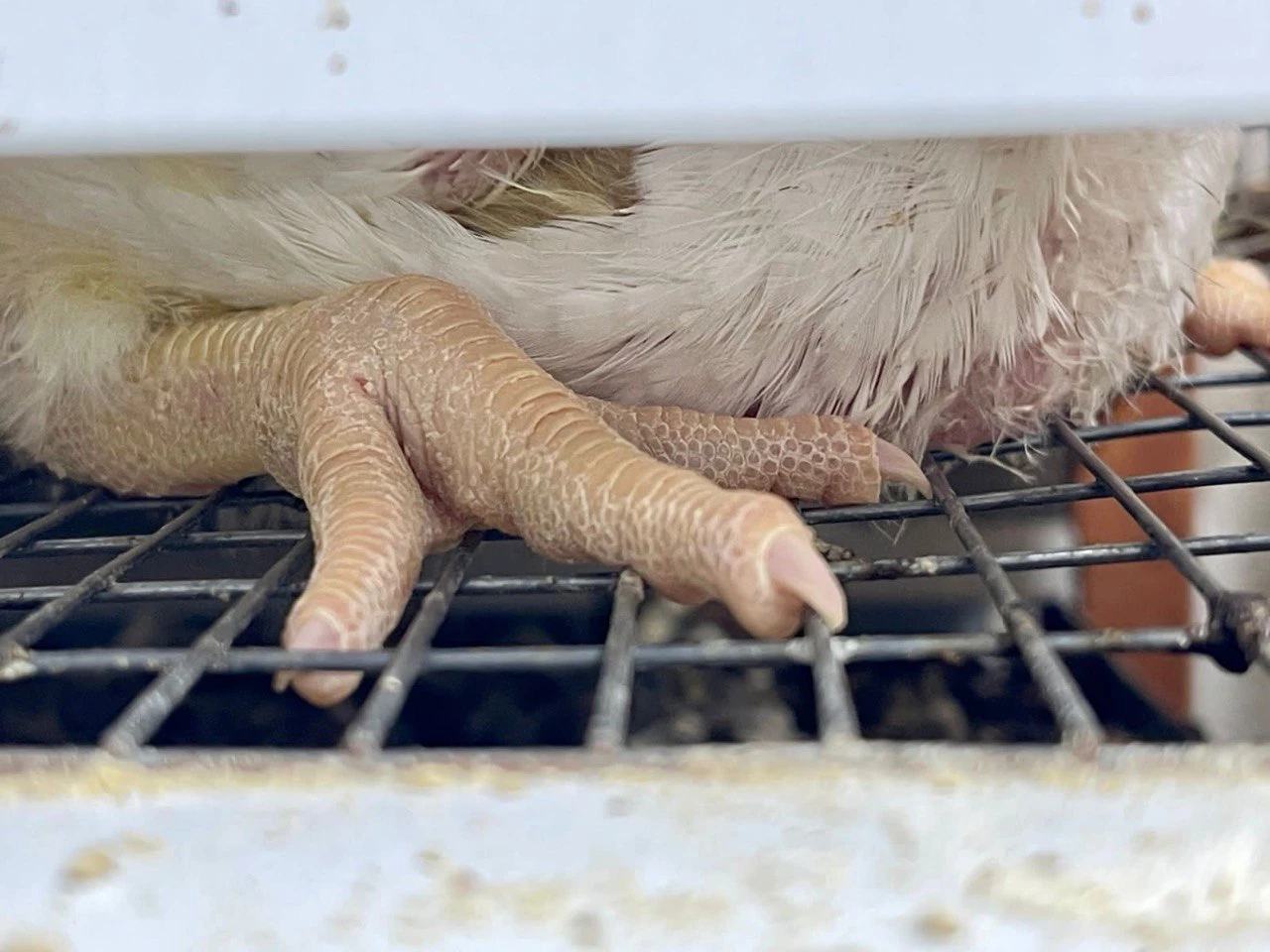 РБК Приморье