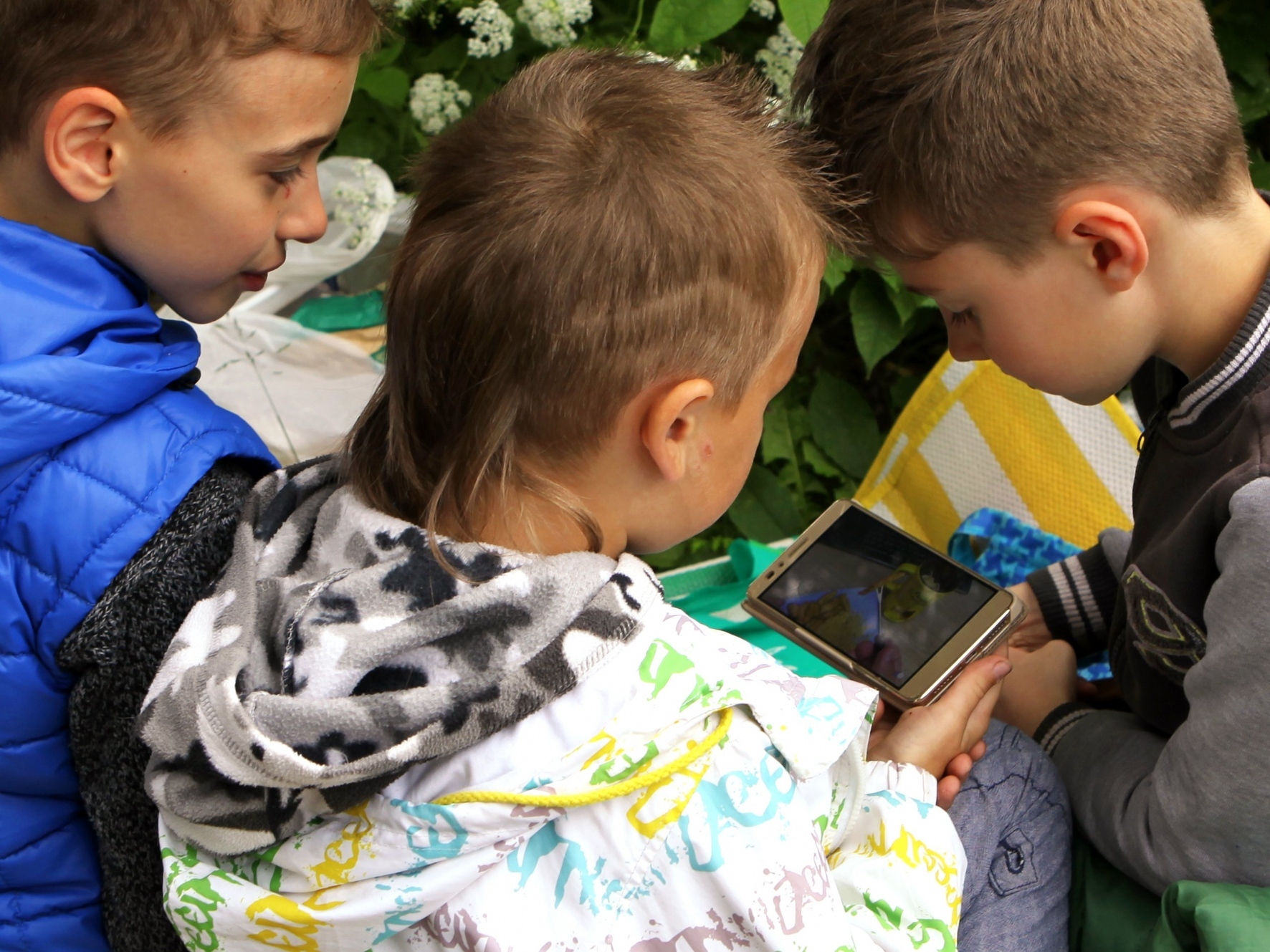 Фото: Тимирханова Татьяна/PhotoXPress.ru