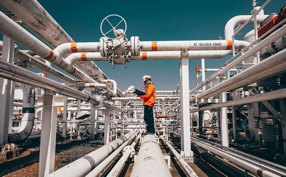 noomcpk / Shuttertstock