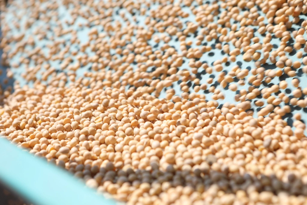 Правительство Приморского края