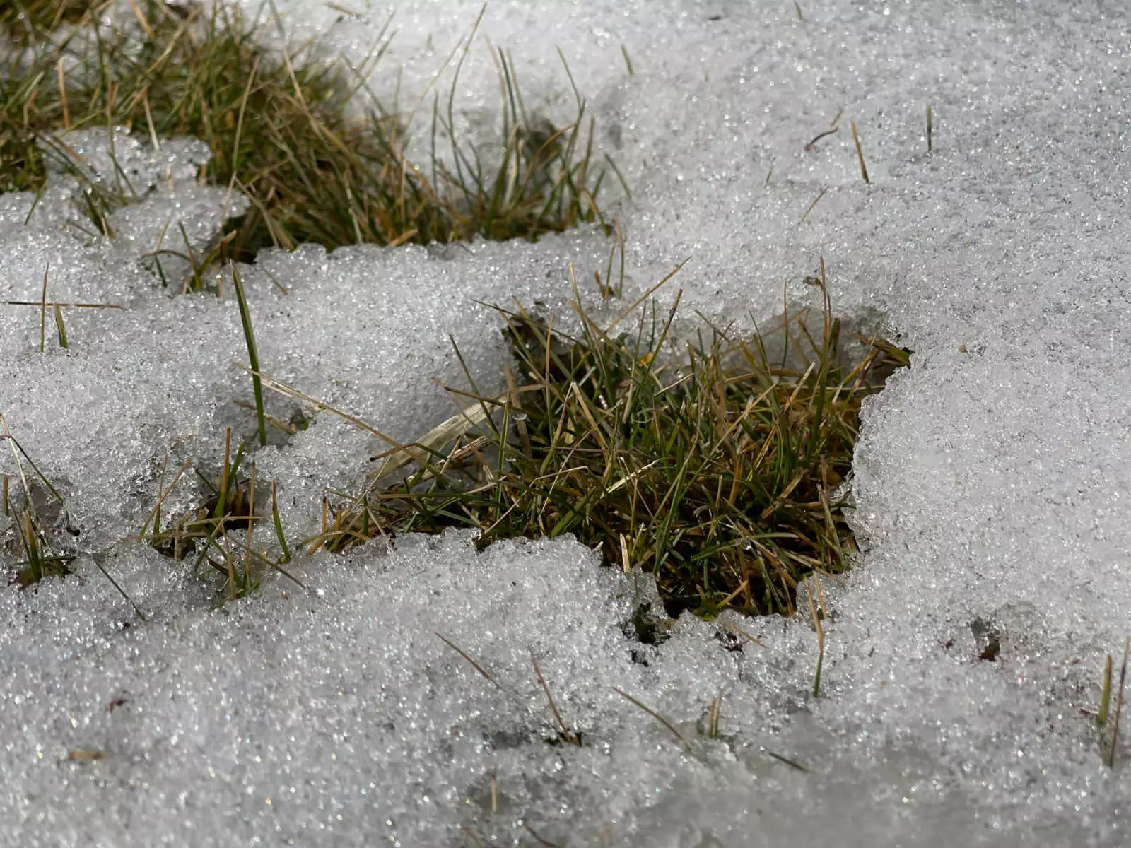 РБК Приморье