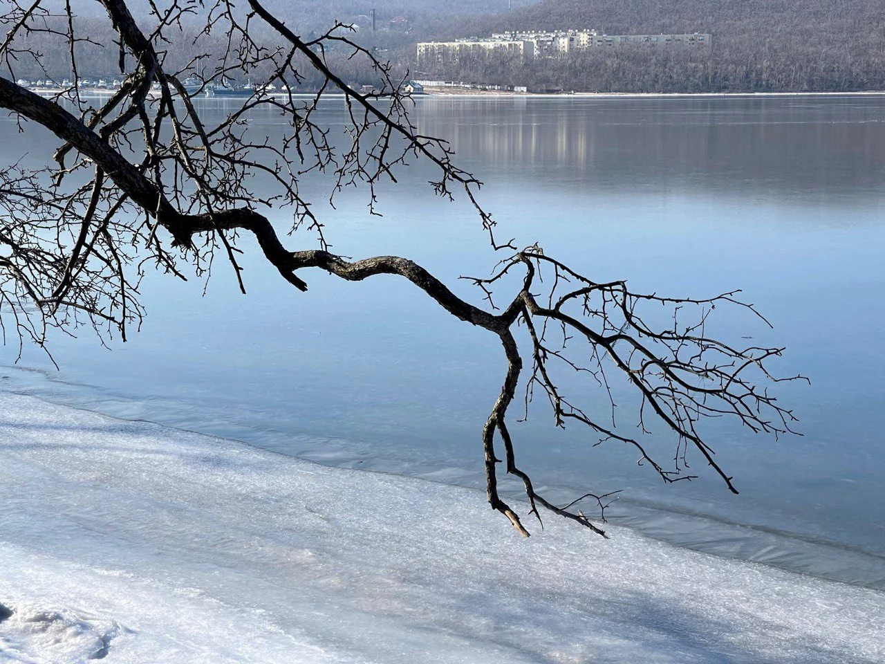 РБК Приморье