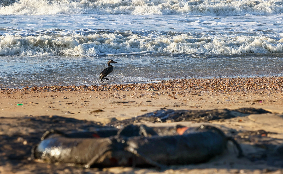 Сергей Мальгавко / ТАСС