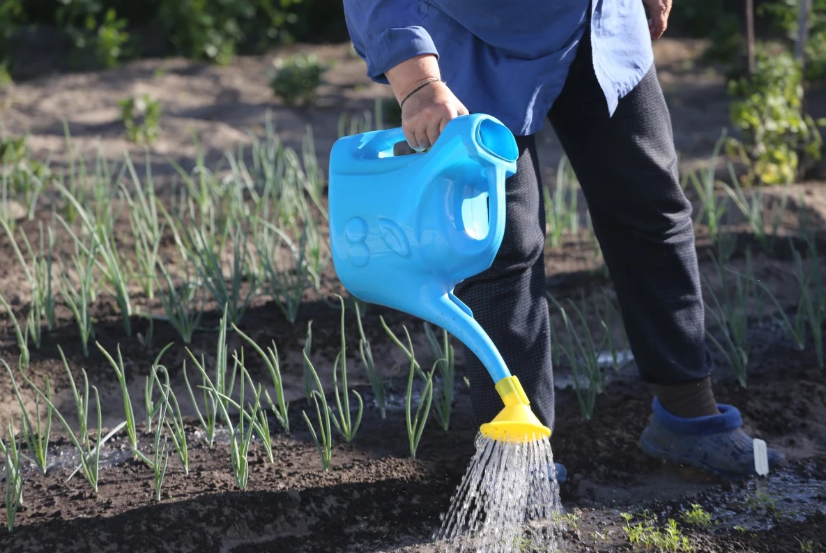 Денис Моргунов / РИА URA.RU