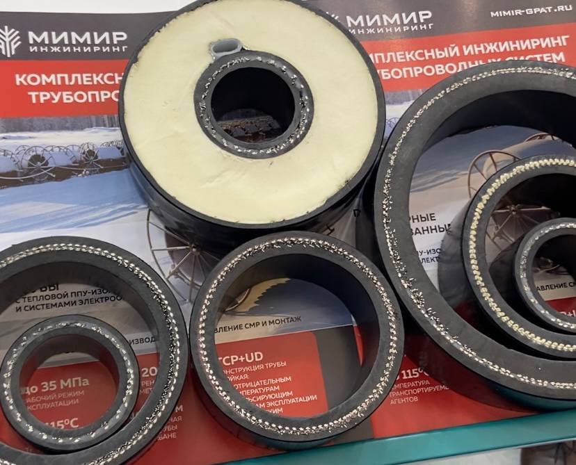 Фото: Артем Нагапетян / РБК Тюмень