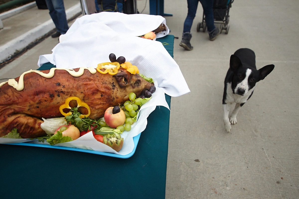 Александр Подгорчук