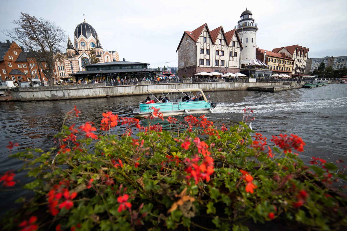Александр Подгорчук