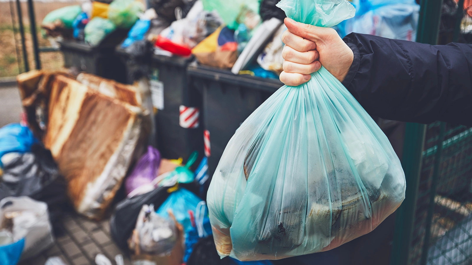 Россиянам напомнили, какая ответственность грозит за свалку мусора