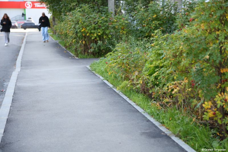 Фото: Администрация Перми