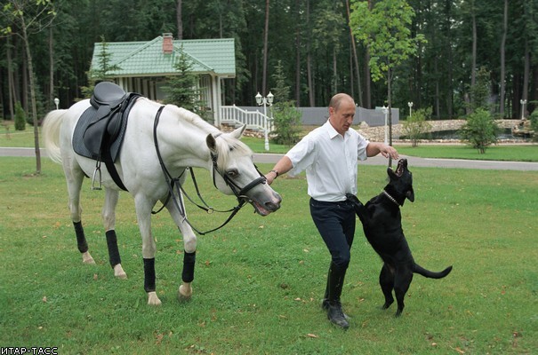 Владимир Путин и его собаки