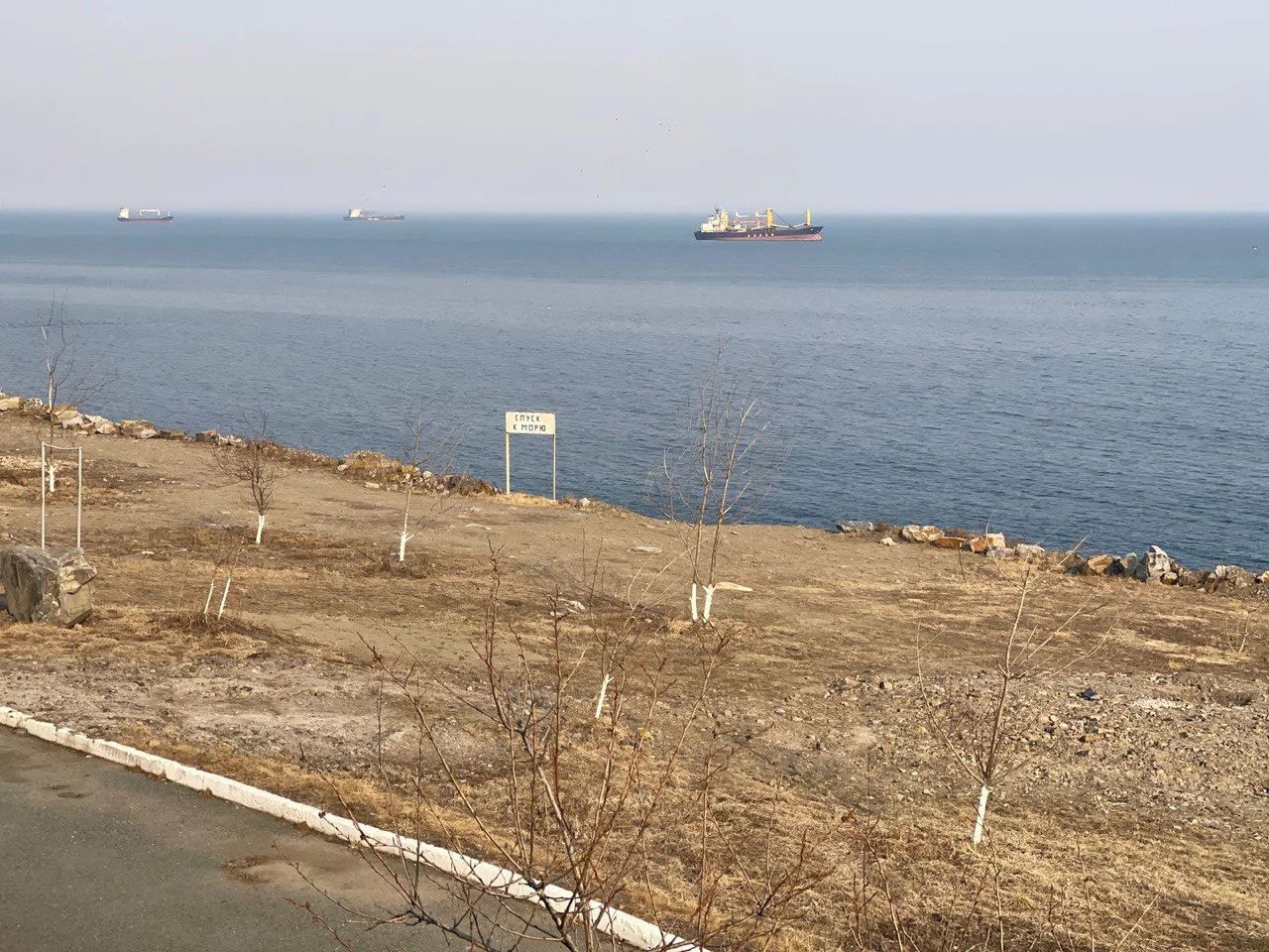 РБК Приморье