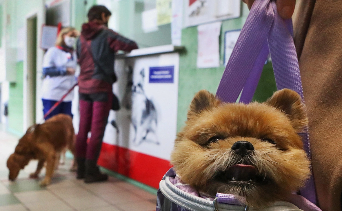 Сергей Карпухин / ТАСС