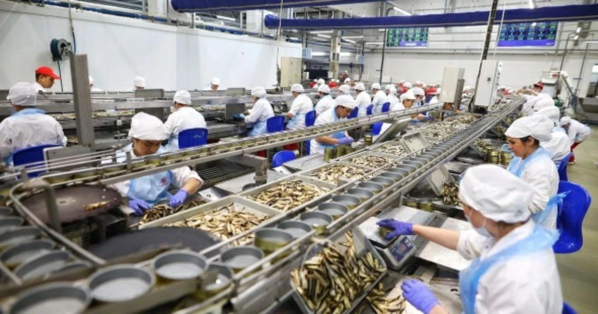 Александр Подгорчук