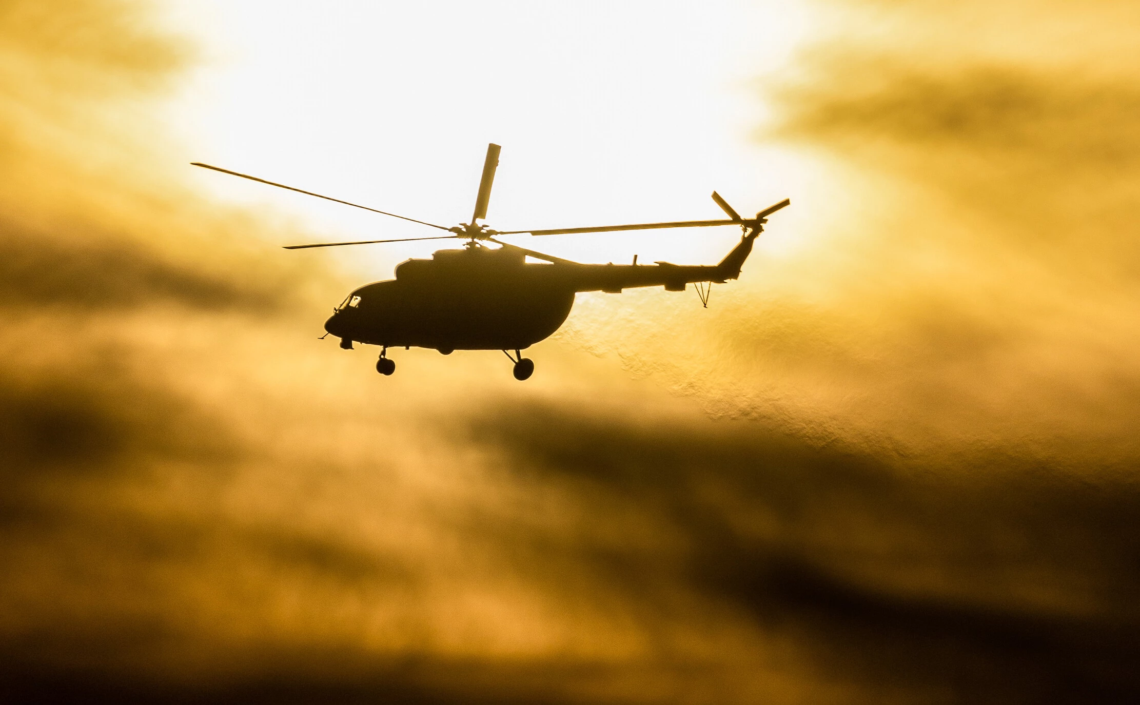  Сергей Бобылев / ТАСС