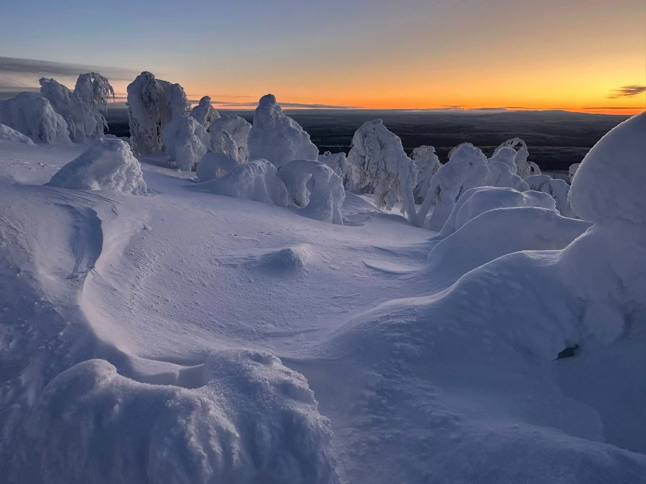 Государственный природный заповедник «Вишерский»