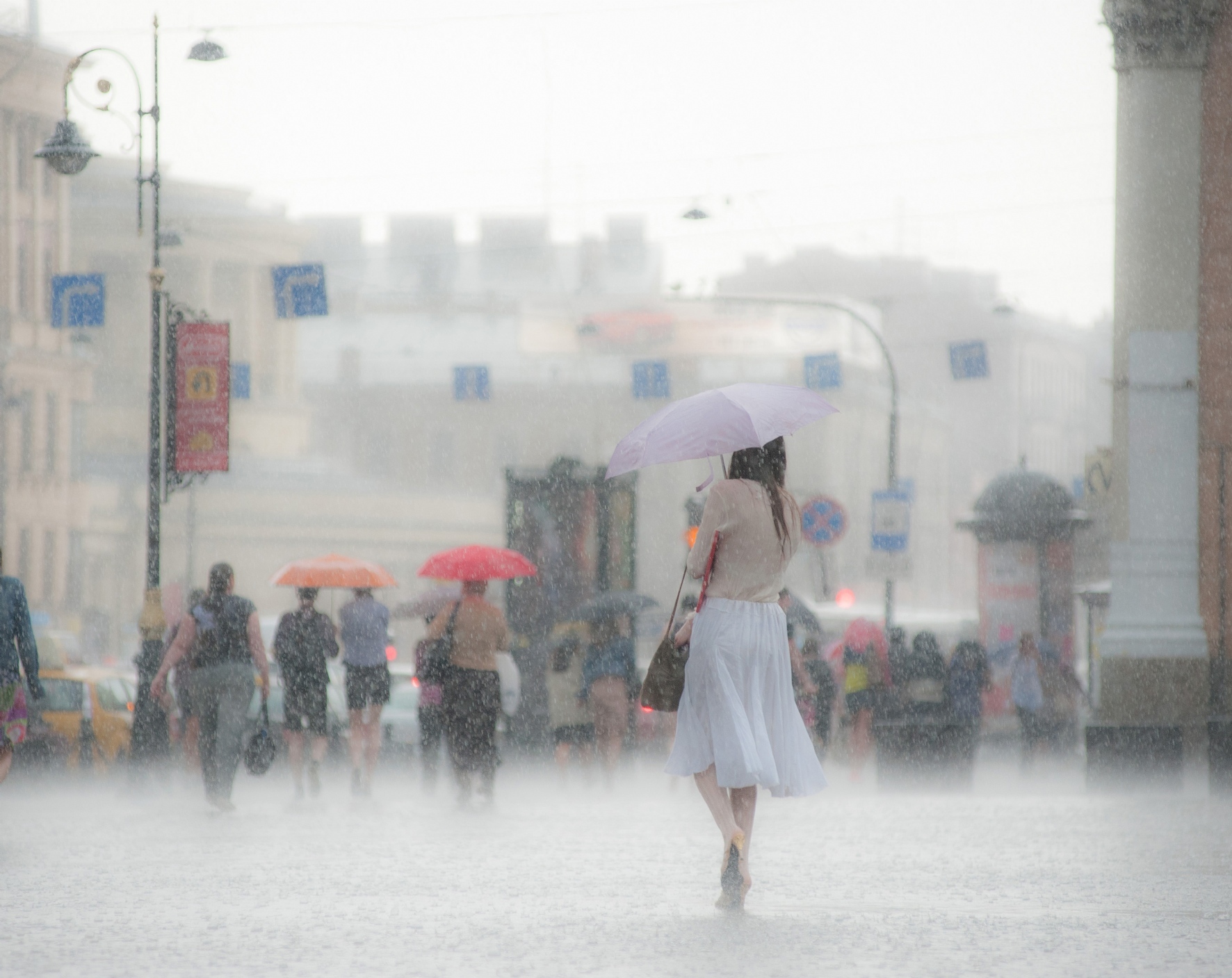 Фото: Николаев Сергей Геннадиевич / PhotoXPress.ru