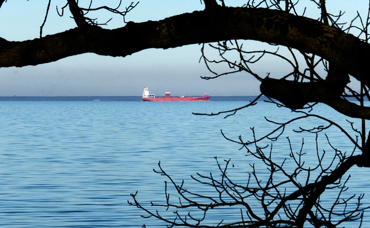Алексей Даничев / РИА Новости