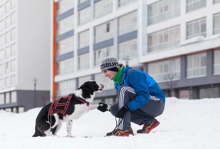 «Брусника»