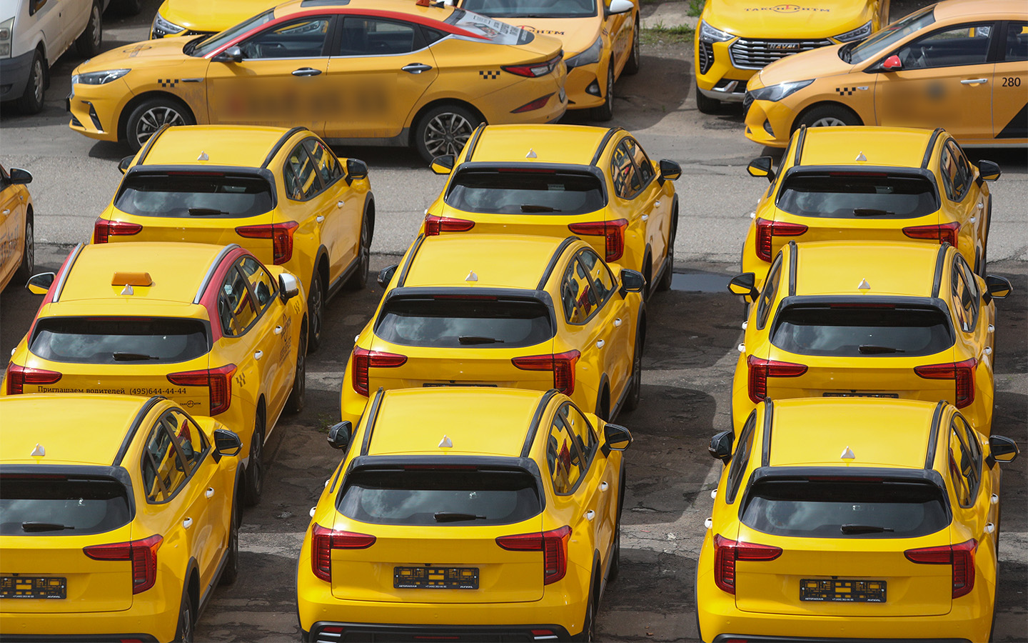 Фото: Belkin Alexey / NEWS.ru / Global Look Press