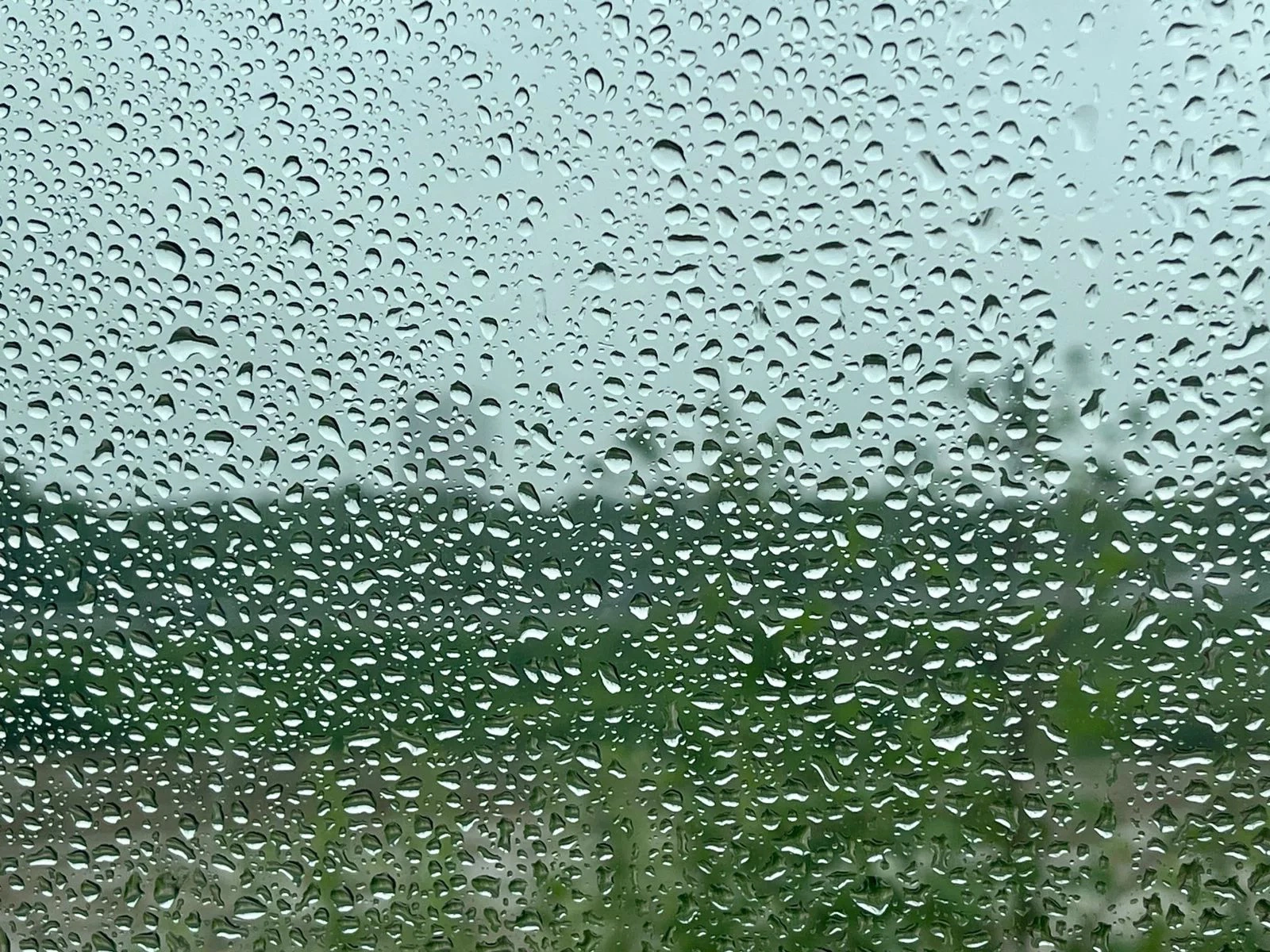 РБК Приморье