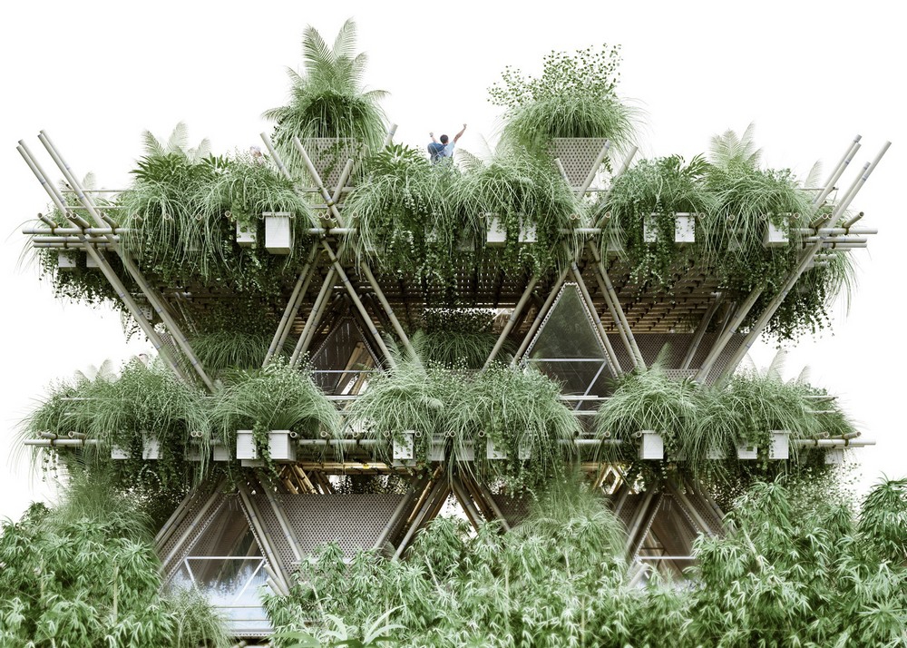 Бамбуковый город: в Китае построят экологичное поселение на 20 тыс. жителей
