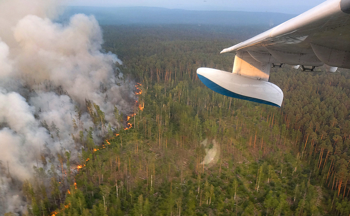 Лесные пожары&nbsp;в Красноярском крае, 2019 год