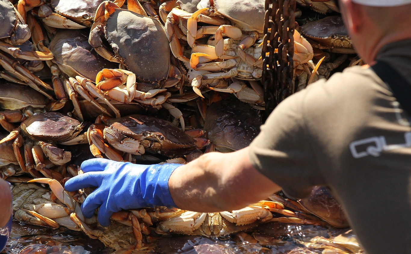 Justin Sullivan / Getty Images