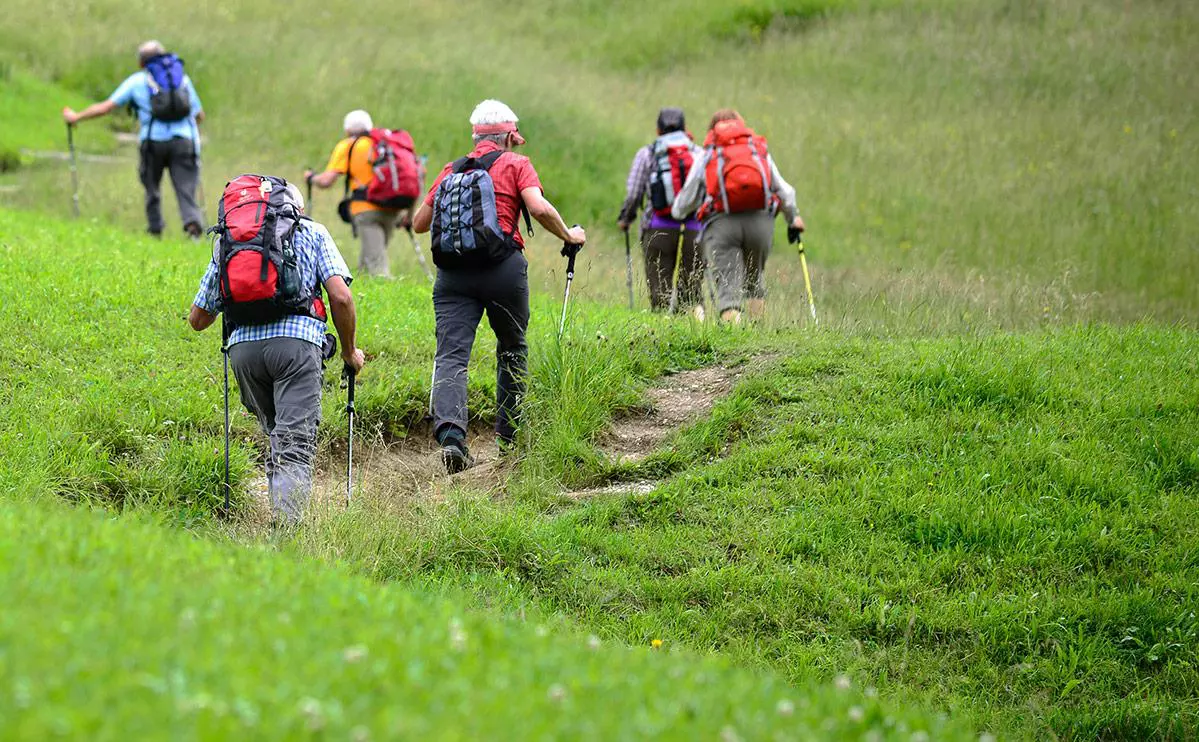 Philipp Guelland / Getty Images