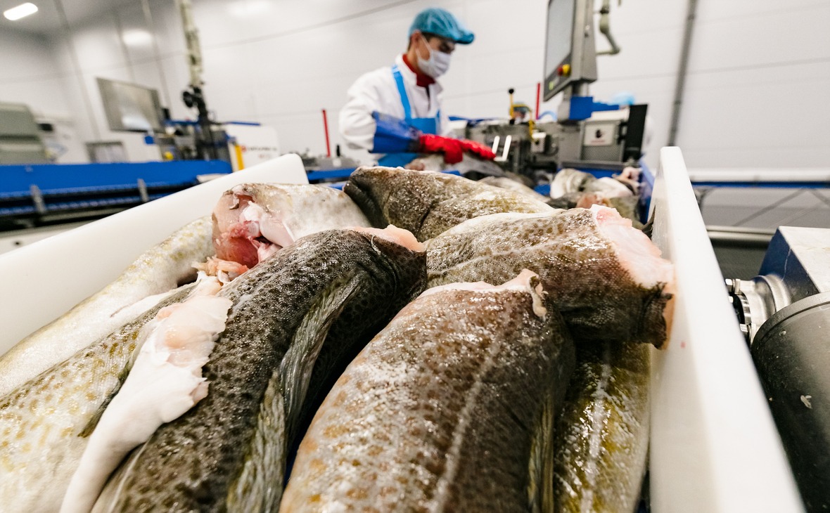 Фото: gov-murman.ru 