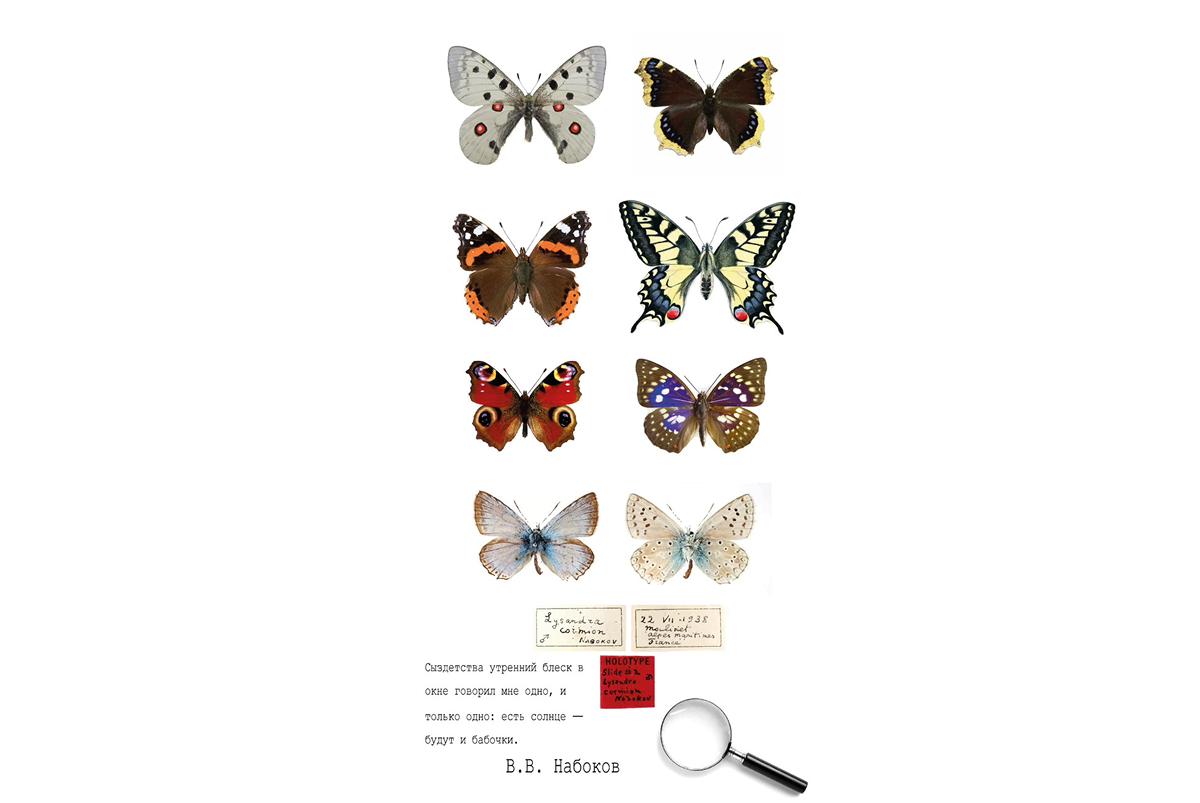 Москвичам предложили выбрать муралы для украшения фасадов многоэтажек