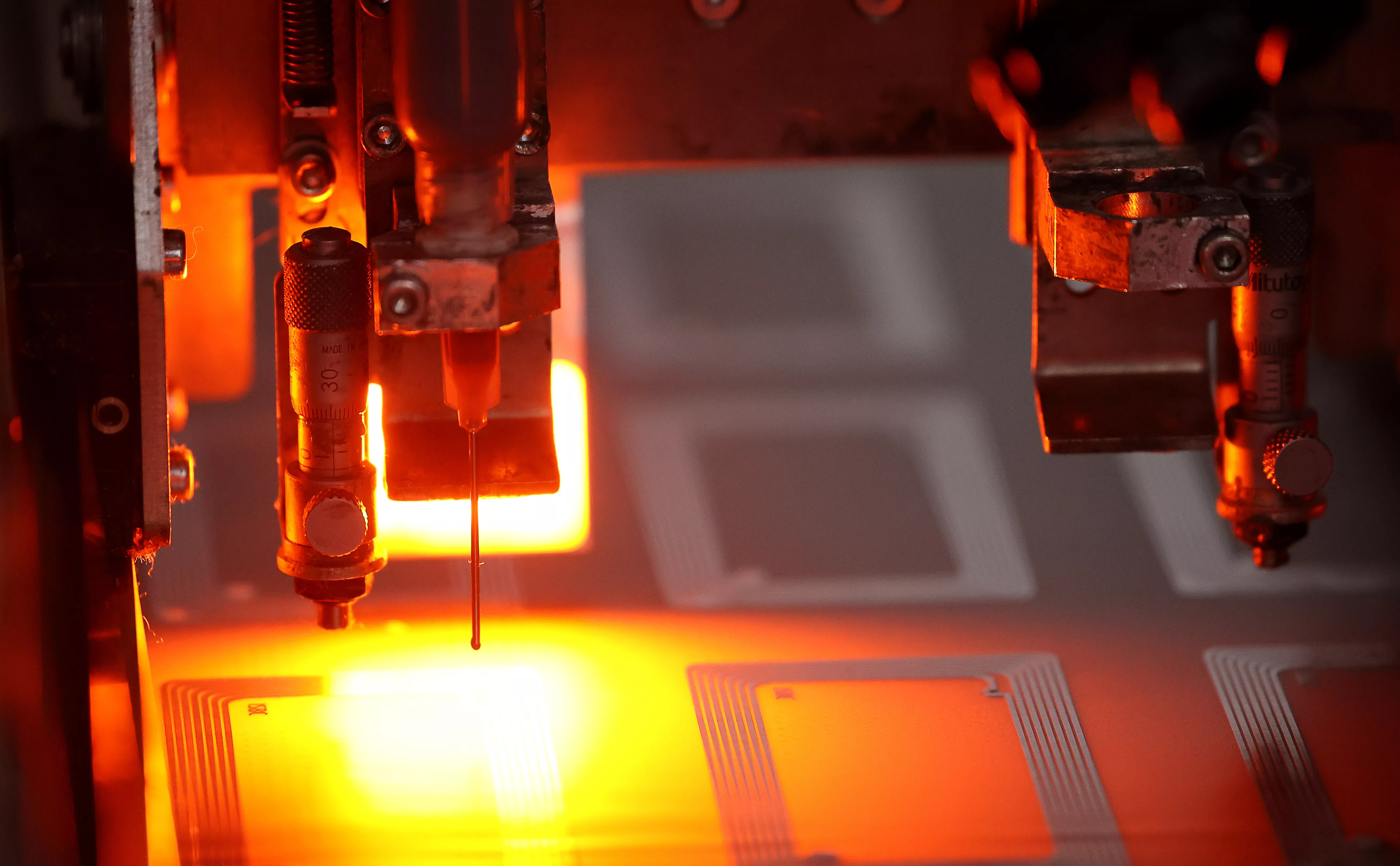 Антон Новодережкин / ТАСС