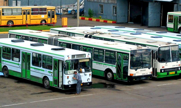 Автобусы на Камчатке не вышли на линии из-за отсутствия российских прав у водителей