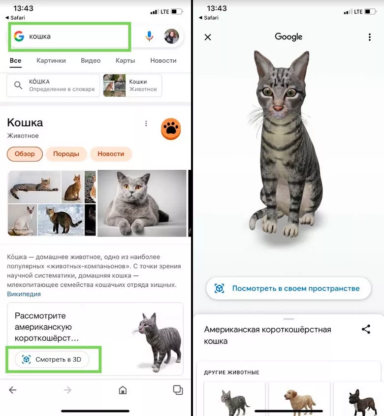 <p>Как посмотреть 3D-модель кошки</p>